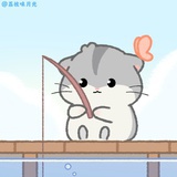 一只混乱的喵