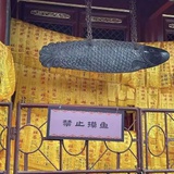 猫力踩奶发动机