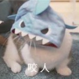 小杨肖恩