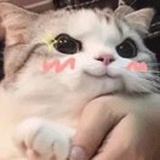 何必低到尘埃里