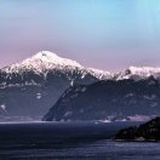 张岳磊