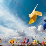 四方脑袋不懂圆形