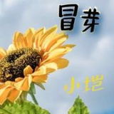 冒芽小垲