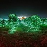 豆友bRaVOkcizQ