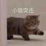大骨熬成高汤