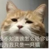 阿垚Katharina
