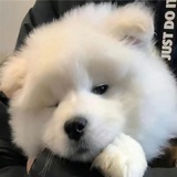 输入昵称