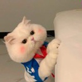 拾柒