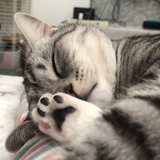 赤橙