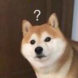 树树皆秋色