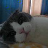 豆友NpOpgA87XU