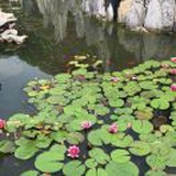 豆友8Z8KpVpNMk