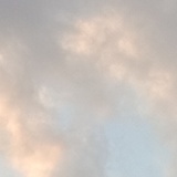 发癫早茶糯米鸡