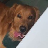 豆友4NFYk6lSYc