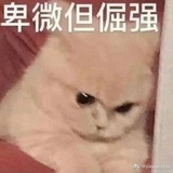 汪汪队队长