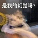 我真蚌