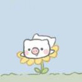 金色飞贼