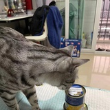 咪咪西