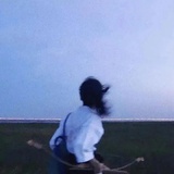 山猫
