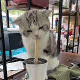 我打洗你哦