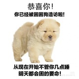 新手小厨娘