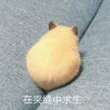令狐南乔