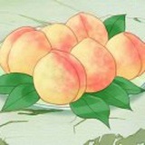 豆友UMO9CttMxk