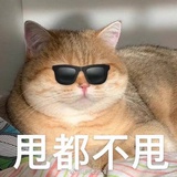 荒荒荒荒荒酱