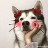 福福晨晨