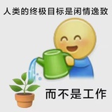 猫猫