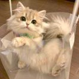 豆友4ymuwmpf08