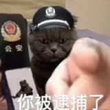 超级宇宙二踢脚