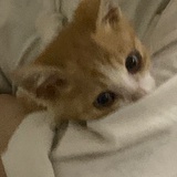 CAVU