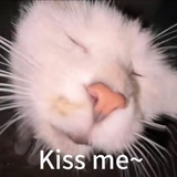 pupupu