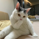 nina