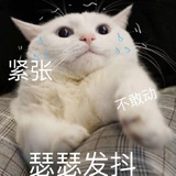 绿丝