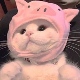 冰淇淋蛋糕