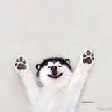 穿好马甲