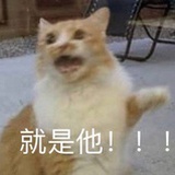 大力呢