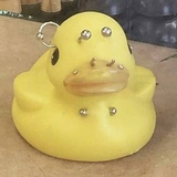 栗秋栗秋