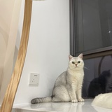 臭臭