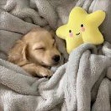 豆友1VqN7DdauM
