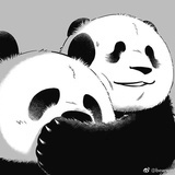 噜酱