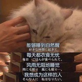 不吃鱼