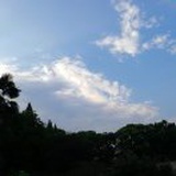 黑夜的黑