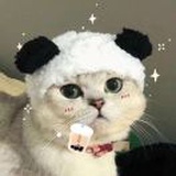 秋秋