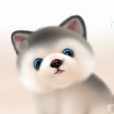 小小兔