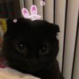 兔兔兜兜