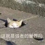 大大大大大大肠