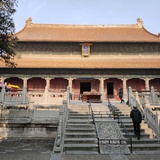 东张西望